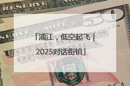浦江，低空起飞｜2025对话街镇