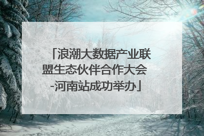 浪潮大数据产业联盟生态伙伴合作大会-河南站成功举办