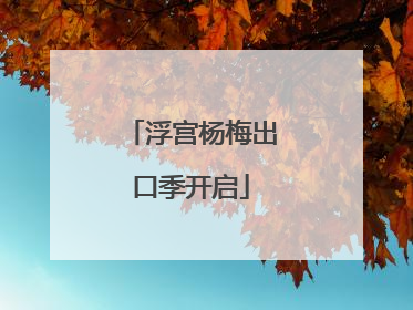 浮宫杨梅出口季开启