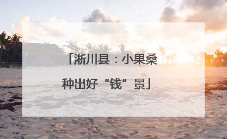 淅川县：小果桑种出好“钱”景