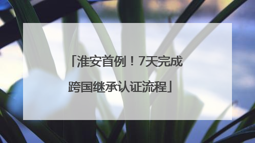 淮安首例！7天完成跨国继承认证流程