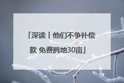深读丨他们不争补偿款 免费腾地30亩