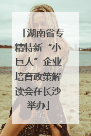 湖南省专精特新“小巨人”企业培育政策解读会在长沙举办