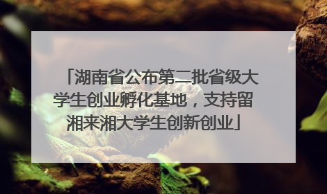 湖南省公布第二批省级大学生创业孵化基地，支持留湘来湘大学生创新创业
