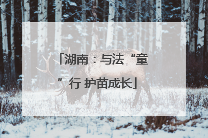 湖南：与法“童”行 护苗成长