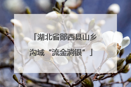 湖北省郧西县山乡沟域“流金淌银”