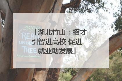 湖北竹山：招才引智进高校 促进就业助发展