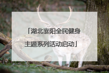 湖北襄阳全民健身主题系列活动启动