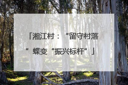 湘江村：“留守村落”蝶变“振兴标杆”