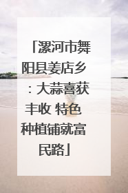 漯河市舞阳县姜店乡：大蒜喜获丰收 特色种植铺就富民路