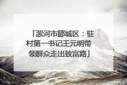 漯河市郾城区：驻村第一书记王元明带领群众走出致富路
