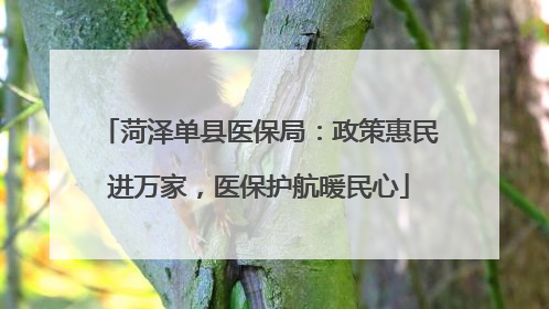 菏泽单县医保局：政策惠民进万家，医保护航暖民心
