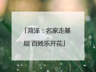菏泽：名家走基层 百姓乐开花
