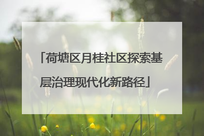 荷塘区月桂社区探索基层治理现代化新路径