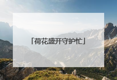 荷花盛开守护忙