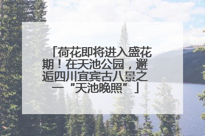 荷花即将进入盛花期！在天池公园，邂逅四川宜宾古八景之一“天池晚照”