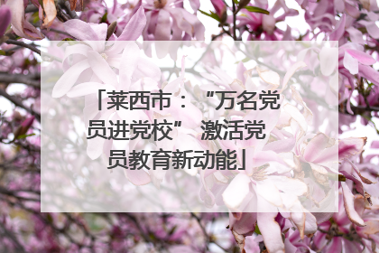 莱西市：“万名党员进党校” 激活党员教育新动能