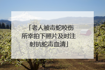 老人被毒蛇咬伤 所幸拍下照片及时注射抗蛇毒血清