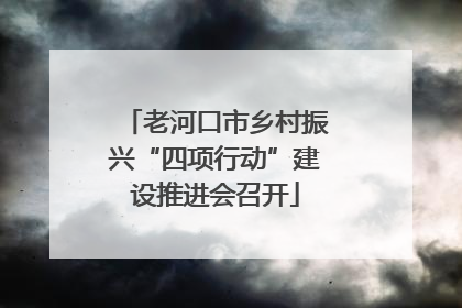 老河口市乡村振兴“四项行动”建设推进会召开