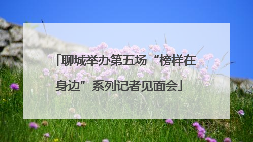 聊城举办第五场“榜样在身边”系列记者见面会