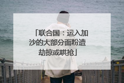 联合国：运入加沙的大部分面粉遭劫掠或哄抢
