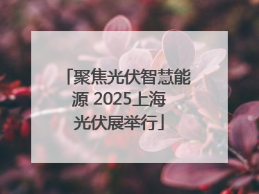 聚焦光伏智慧能源 2025上海光伏展举行