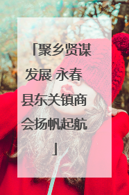 聚乡贤谋发展 永春县东关镇商会扬帆起航