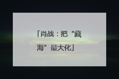 肖战：把“藏海”最大化