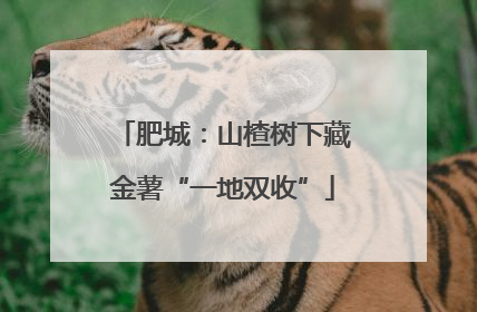 肥城：山楂树下藏金薯“一地双收”