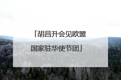 胡昌升会见欧盟国家驻华使节团