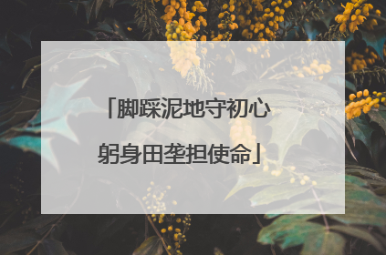 脚踩泥地守初心 躬身田垄担使命