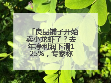 良品铺子开始卖小龙虾了？去年净利润下滑125%，专家称转型极为关键