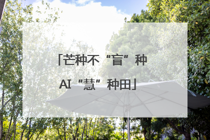 芒种不“盲”种 AI“慧”种田