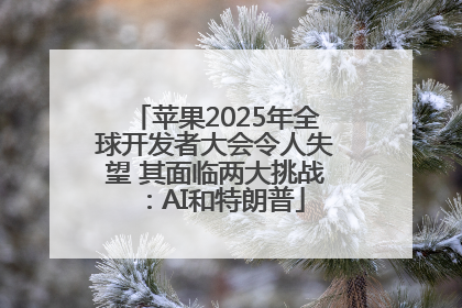 苹果2025年全球开发者大会令人失望 其面临两大挑战：AI和特朗普