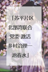 苏平片区北部湾联合党委 激活乡村治理一池春水
