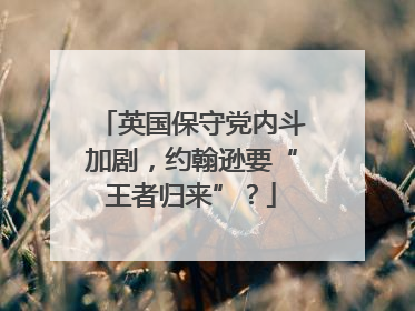 英国保守党内斗加剧，约翰逊要“王者归来”？