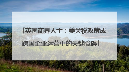 英国商界人士：美关税政策成跨国企业运营中的关键障碍