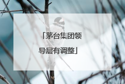 茅台集团领导层有调整