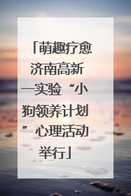 萌趣疗愈 济南高新一实验“小狗领养计划”心理活动举行