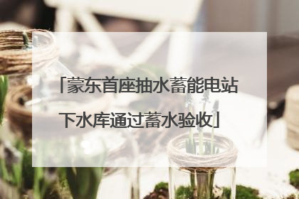 蒙东首座抽水蓄能电站下水库通过蓄水验收