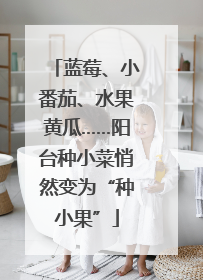蓝莓、小番茄、水果黄瓜……阳台种小菜悄然变为“种小果”