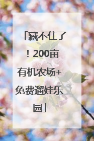 藏不住了！200亩有机农场+免费遛娃乐园