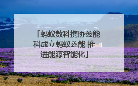 蚂蚁数科携协鑫能科成立蚂蚁鑫能 推进能源智能化