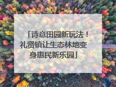 诗意田园新玩法！礼贤镇让生态林地变身惠民新乐园