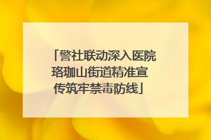 警社联动深入医院 珞珈山街道精准宣传筑牢禁毒防线