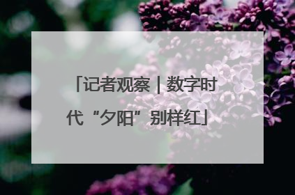 记者观察｜数字时代“夕阳”别样红