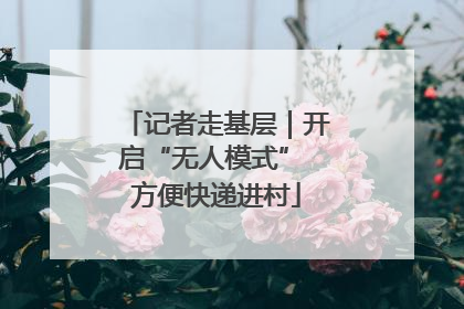 记者走基层｜开启“无人模式” 方便快递进村