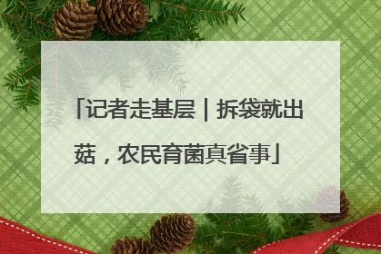 记者走基层｜拆袋就出菇，农民育菌真省事