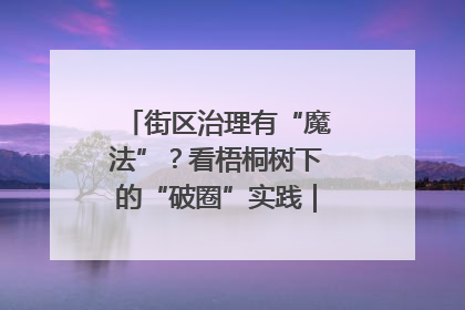 街区治理有“魔法”？看梧桐树下的“破圈”实践｜我在街区当书记