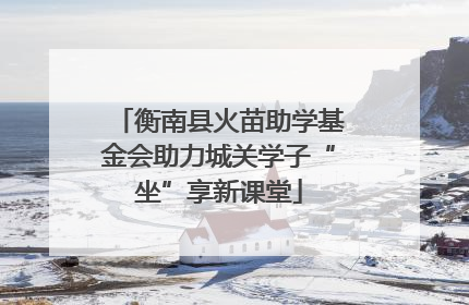 衡南县火苗助学基金会助力城关学子“坐”享新课堂